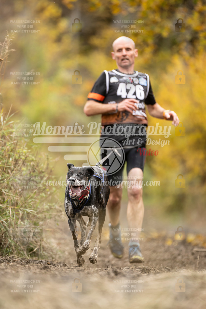 MompixPhotography_ICF_WC_2024_SA_Run_-420 | PayLife