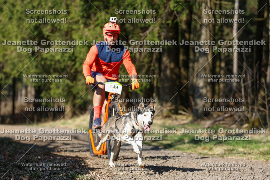 Dog Paparazzi - VCC26-100 | Dog Paparazzi Jeanette Grottendiek Fotografie & Videografie - Realisiert mit Pictrs.com
