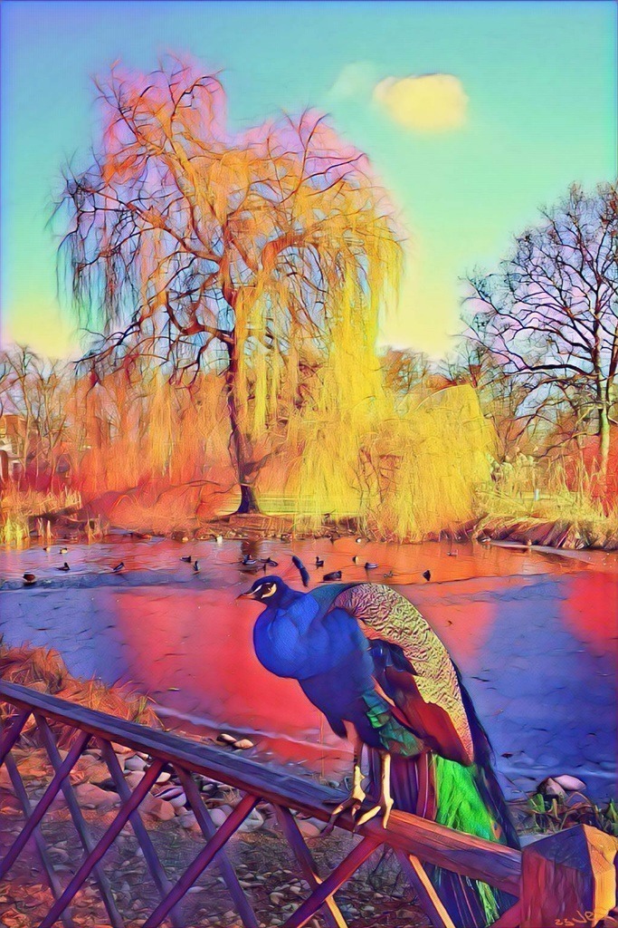 peacock in the park | Künstler/in Member of AKM/austromechana. Troubadour. 2026 a fascinating journey began with Tatjana my AI muse✨ METISSIREN set sails and left the harbor ⛵