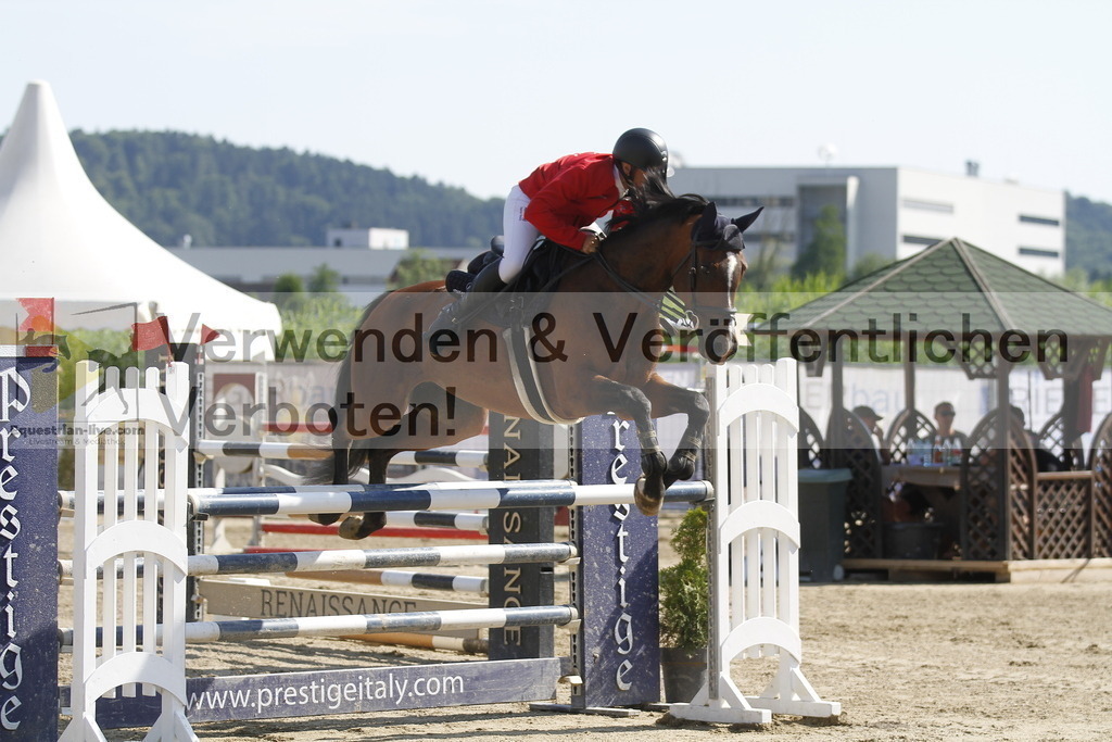 _MG_6438 | equestrian-live-com