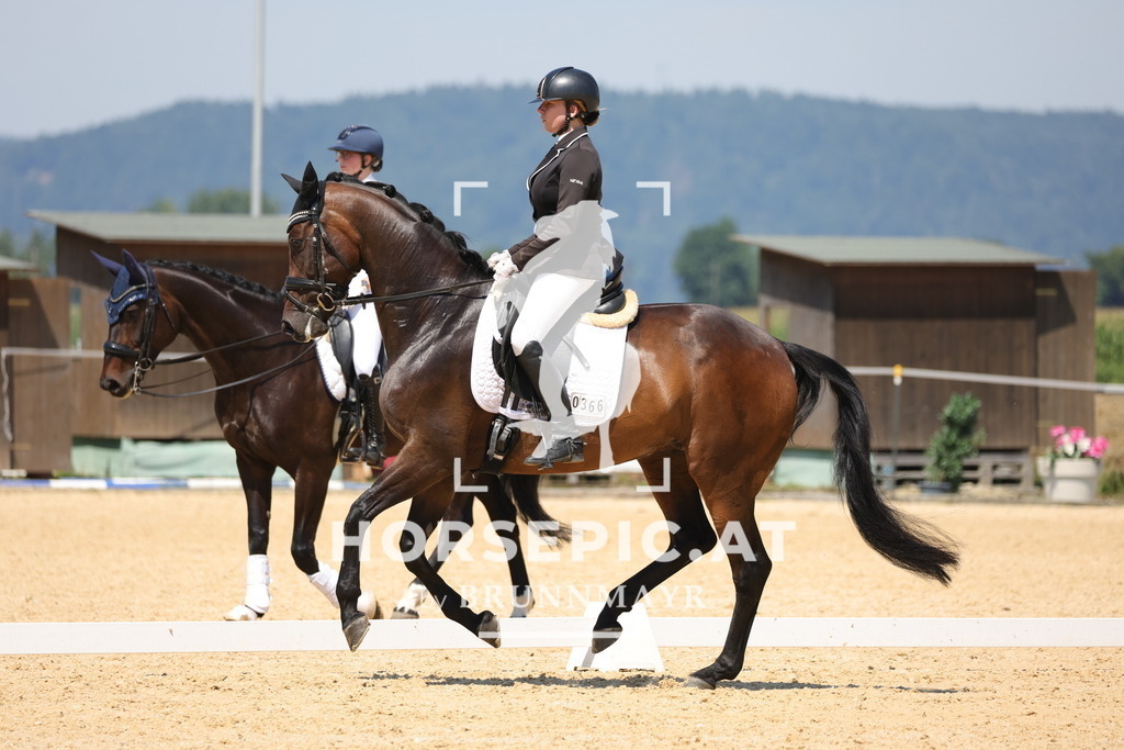 0P6A0468 | Willkommen bei Brunnmayr - Design & Fotografie – Ihrem Spezialisten für Reitturniere und Pferdeveranstaltungen in Oberösterreich, Salzburg und Bayern! Seit über 17 Jahren sind wir leidenschaftlich dabei.