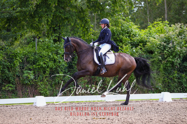 DKP41371 | Turnierfotos kaufen im Webshop von Daniel Kuhl Photography – entdecke professionelle Reitsportfotos aus Turnieren & Events. Hochwertige Turnierbilder online bestellen & sichern. Jetzt Fotos von Reitsportturnieren kaufen!
