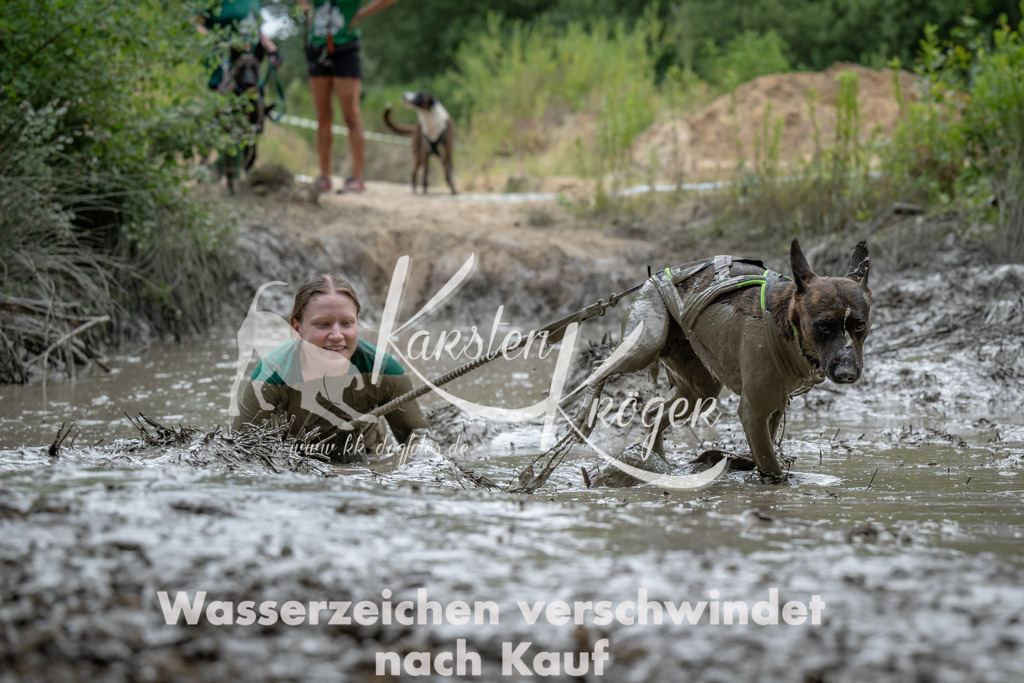 1454_ZZ91185 | kk-dogfotos