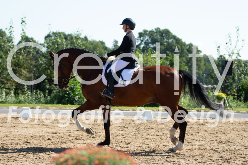 IMG_3600 | Creatify Fotografie