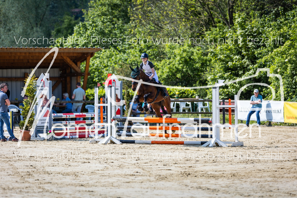 Donop24-ESpr-036 | MomenTaufnahmen Pferdesportfotos