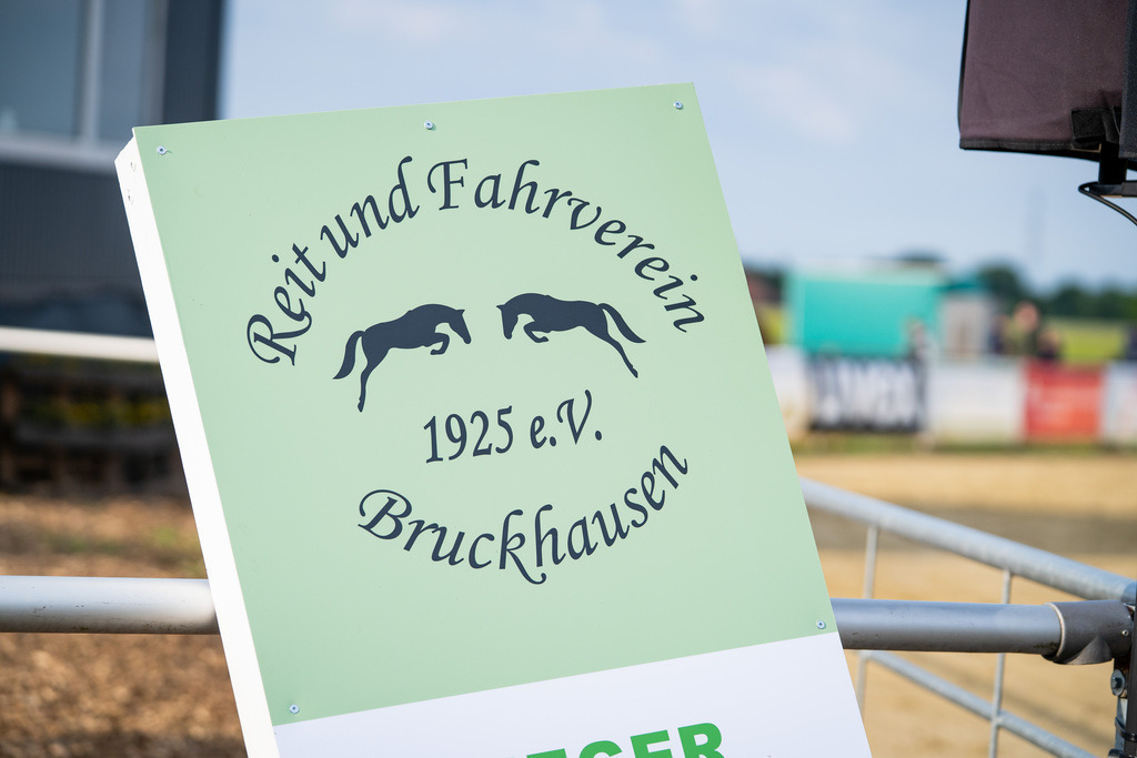 DSC02575 | Pferdegrafie