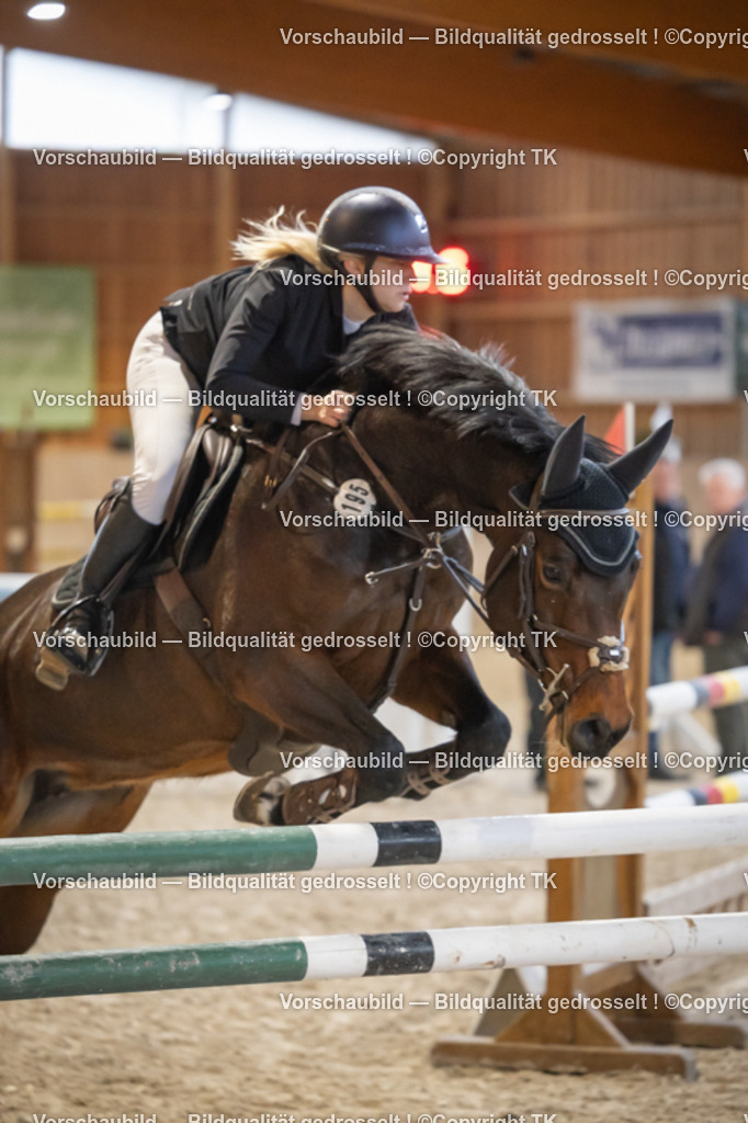 _D5A8564 | Emotionale Pferde- & People-Fotografie rund um Heidelberg, Leimen & Umgebung. Natürliche Fotos von Pferd, Mensch & Familie. Jetzt Termin sichern!