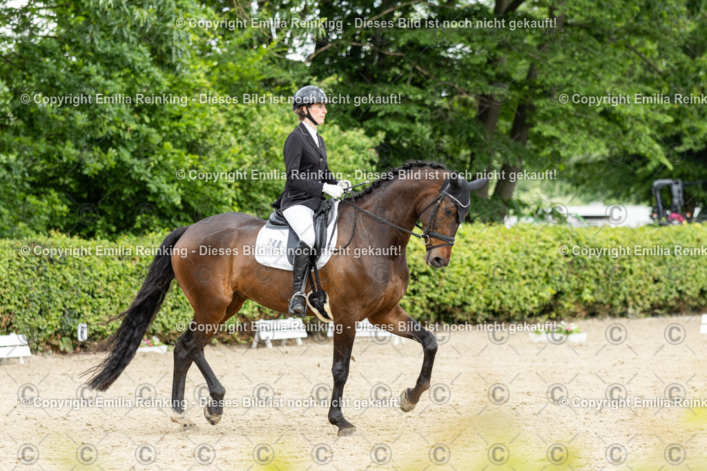 CL5A1364 | Emilia Reinking Fotografie - Realisiert mit Pictrs.com