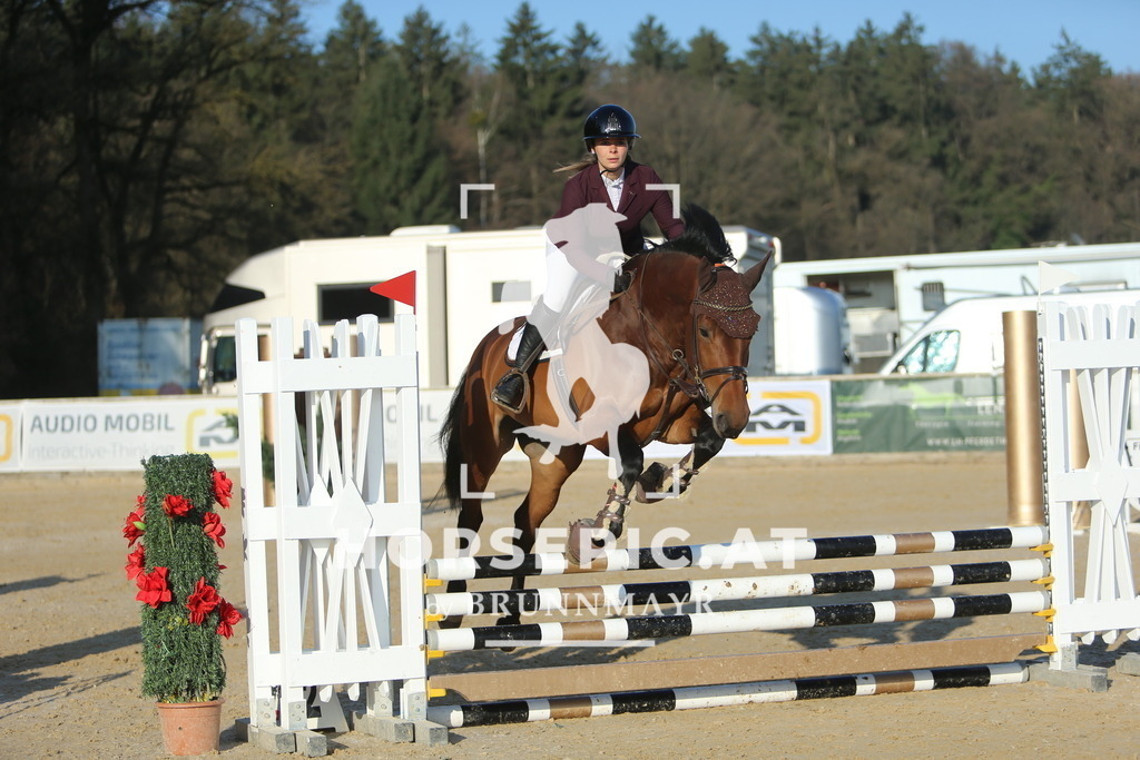 DL2Q7449 | Willkommen bei Brunnmayr - Design & Fotografie – Ihrem Spezialisten für Reitturniere und Pferdeveranstaltungen in Oberösterreich, Salzburg und Bayern! Seit über 17 Jahren sind wir leidenschaftlich dabei.