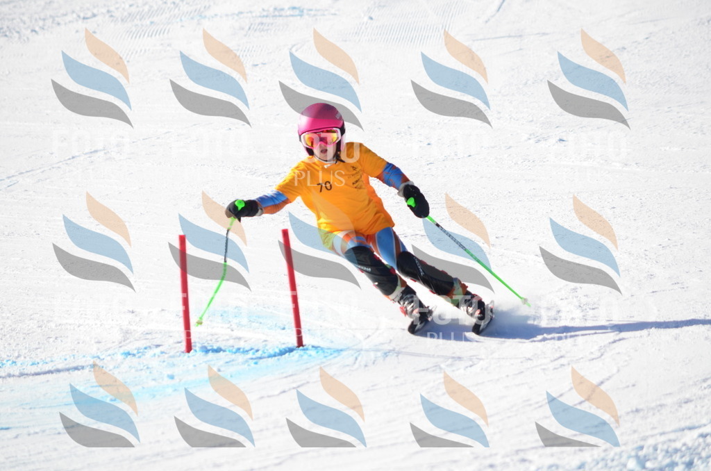 C5877 | holidayphoto