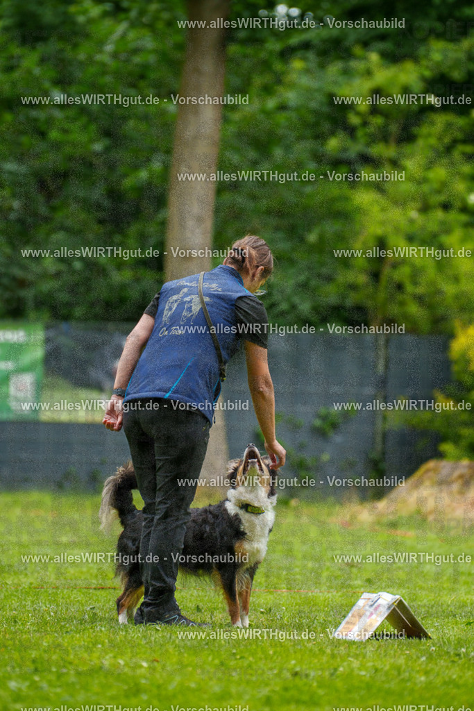 @allesWIRTHgut_Tierfotografie - www.allesWIRTHgut.de - 091833-7R506916 | Professionelle Tierfotografie in Mönchengladbach von Daniel Wirth (allesWIRTHgut). Liebevolle & natürliche Bilder von Hunden & Katzen für unvergessliche Erinnerungen.