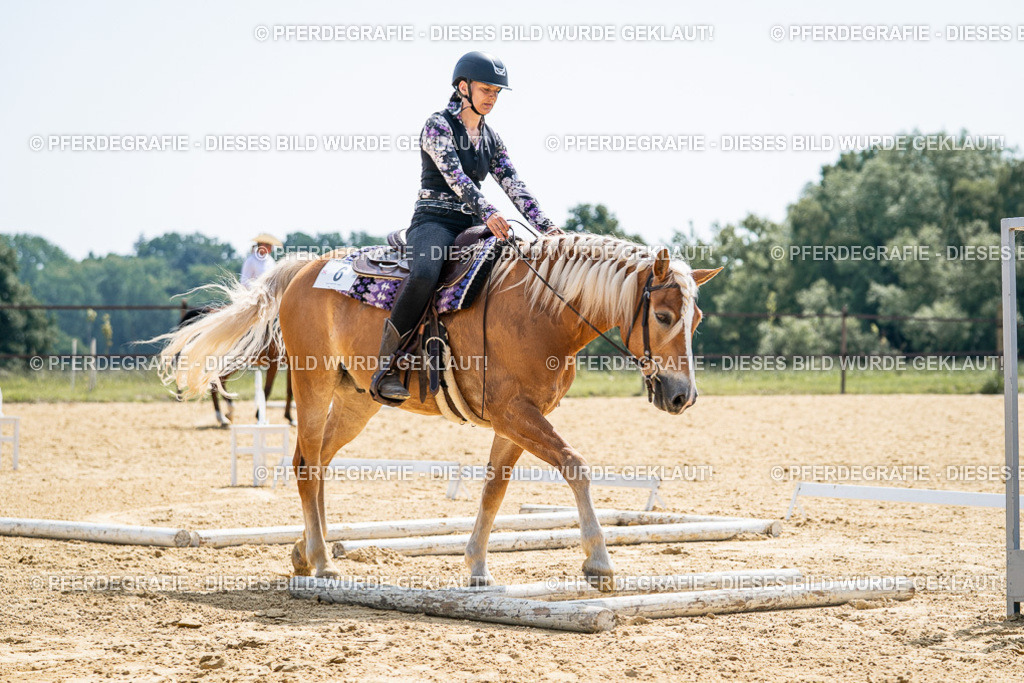 DSC00195 | Pferdegrafie