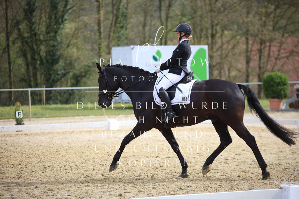 IMGT6166 | pl-fotografie