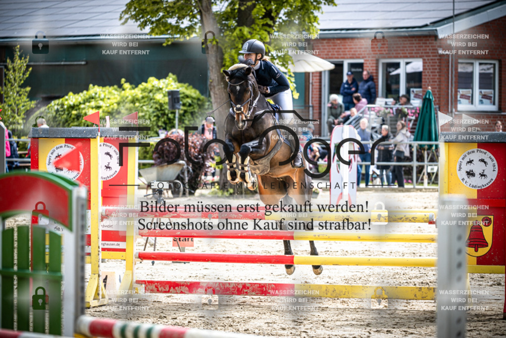 DOS_1978 | Reitturnier Lüdinghausen - Realisiert mit Pictrs.com