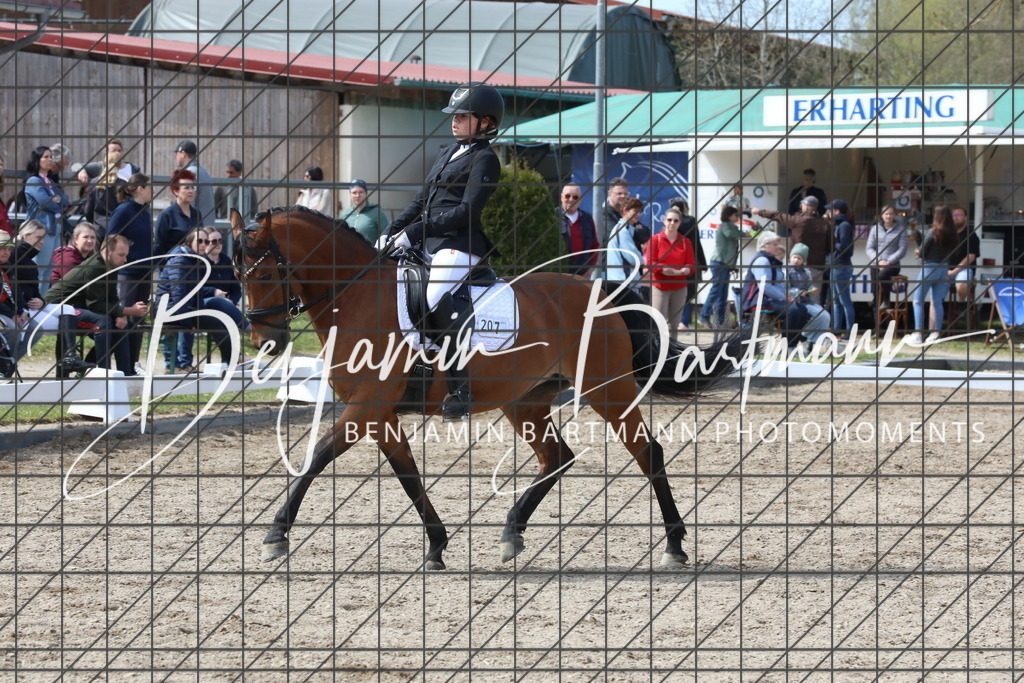 AZ2A3814 | Benjamin Bartmann Photomoments