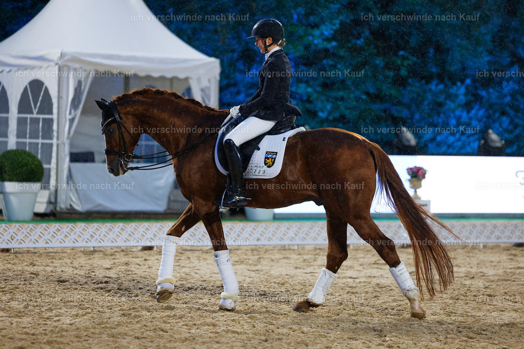04_2-Siegerehrung-Dressur M__ -StoibPH-2888 | working equitationturnier fotograf videograf stoibphotography marixx film working equitation deutschland reitsport turnierfotografie eventfotografie equestrian events