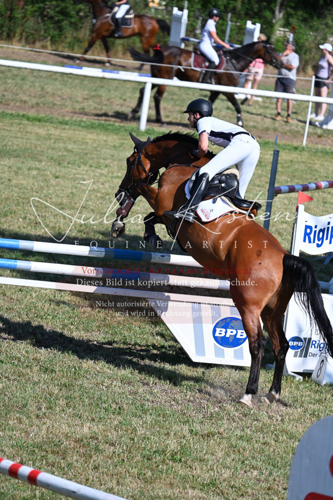 DSC_1928 | Pferde- und Turnierfotografie in Westsachsen. Pferdeportraits, Auftragszeichnungen und intuitive Kunst.
