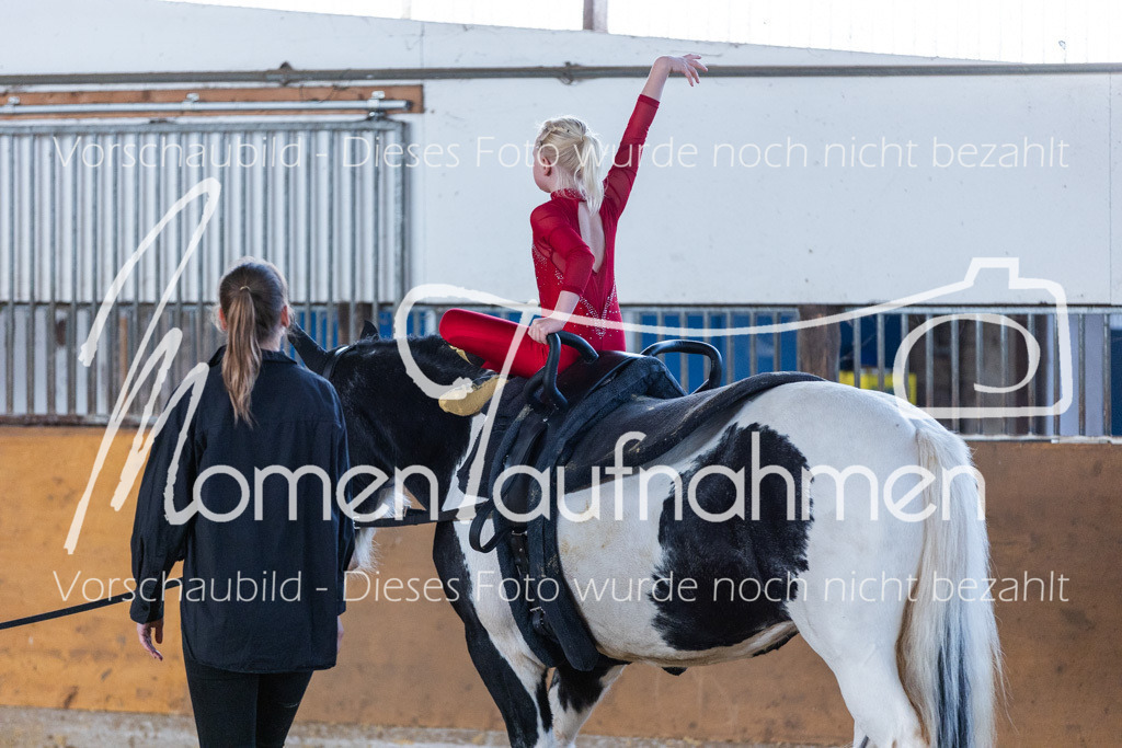 SS-Mini-212 | MomenTaufnahmen Pferdesportfotos