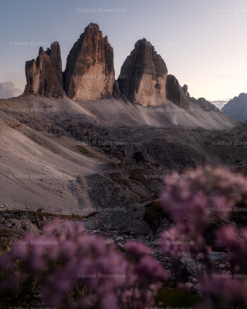 N78_5934-Bearbeitet | Julian Biederbick - Realisiert mit Pictrs.com