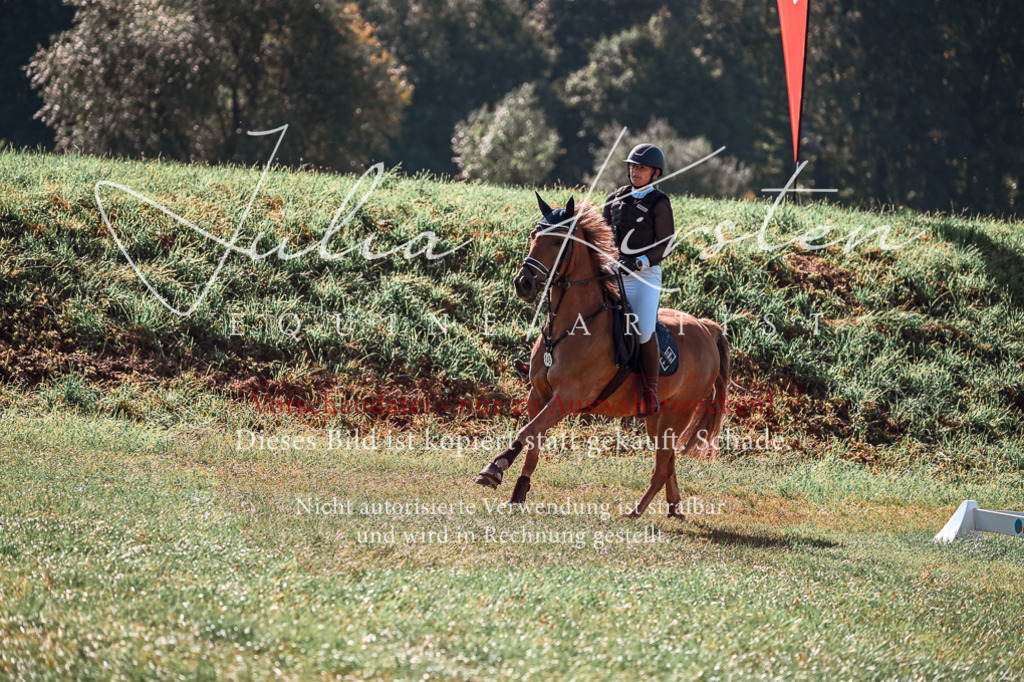 DSC_0778 | Pferde- und Turnierfotografie in Westsachsen. Pferdeportraits, Auftragszeichnungen und intuitive Kunst.