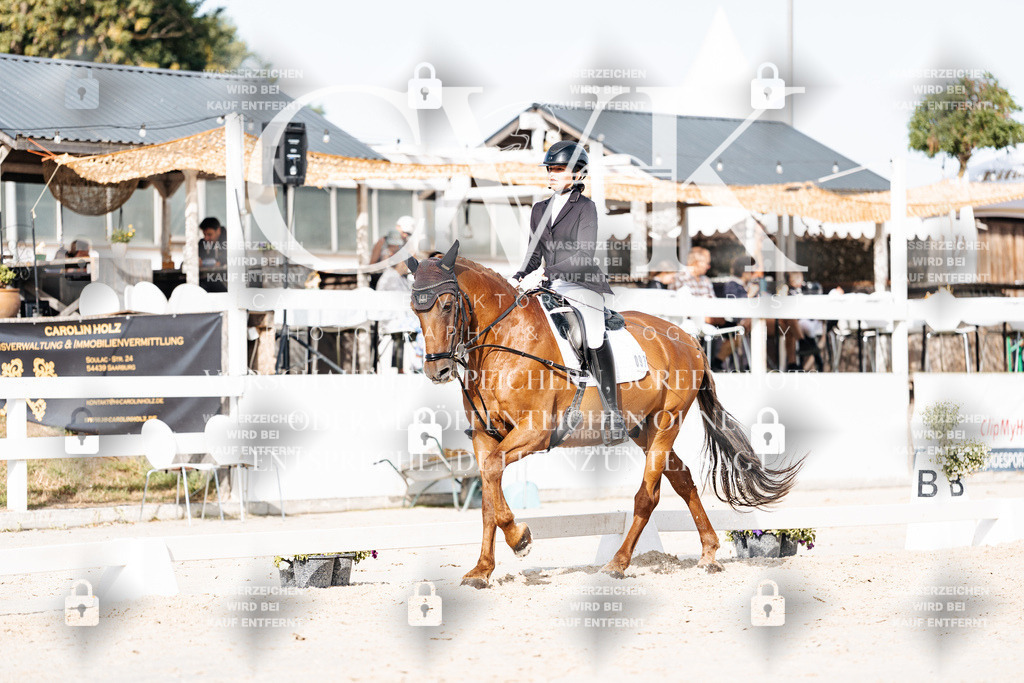 CK905187 | Turnierfotografie Pferdefotografie Trier Rheinland-Pfalz Pferdesport Reitsport Tierfotografie Sportfotografie Pferdevideo Pferdevideografie Equestrianvideography equestrianphotography  - Realisiert mit Pictrs.com