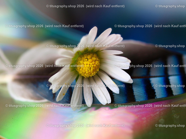 titusgraphy_P7264119-vz-ln | OLYMPUS DIGITAL CAMERA - Realisiert mit Pictrs.com