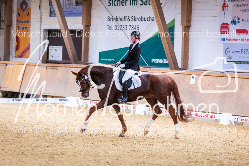 Sth-A-Dre-2St-164 | MomenTaufnahmen Pferdesportfotos