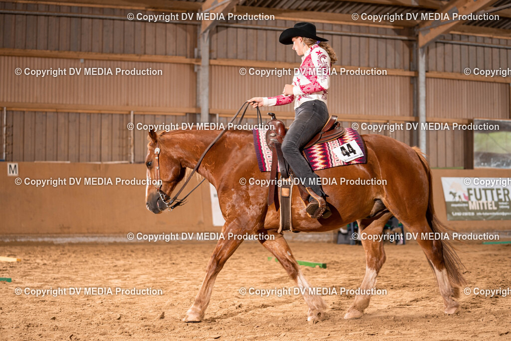 Losheim Tag 2-51 | dv-media-shop - Realisiert mit Pictrs.com