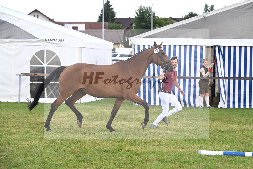 Kat-Nr. 12 Louzie v. Lord Quidam_Lang_30250193 | hf-fotografie - Realisiert mit Pictrs.com