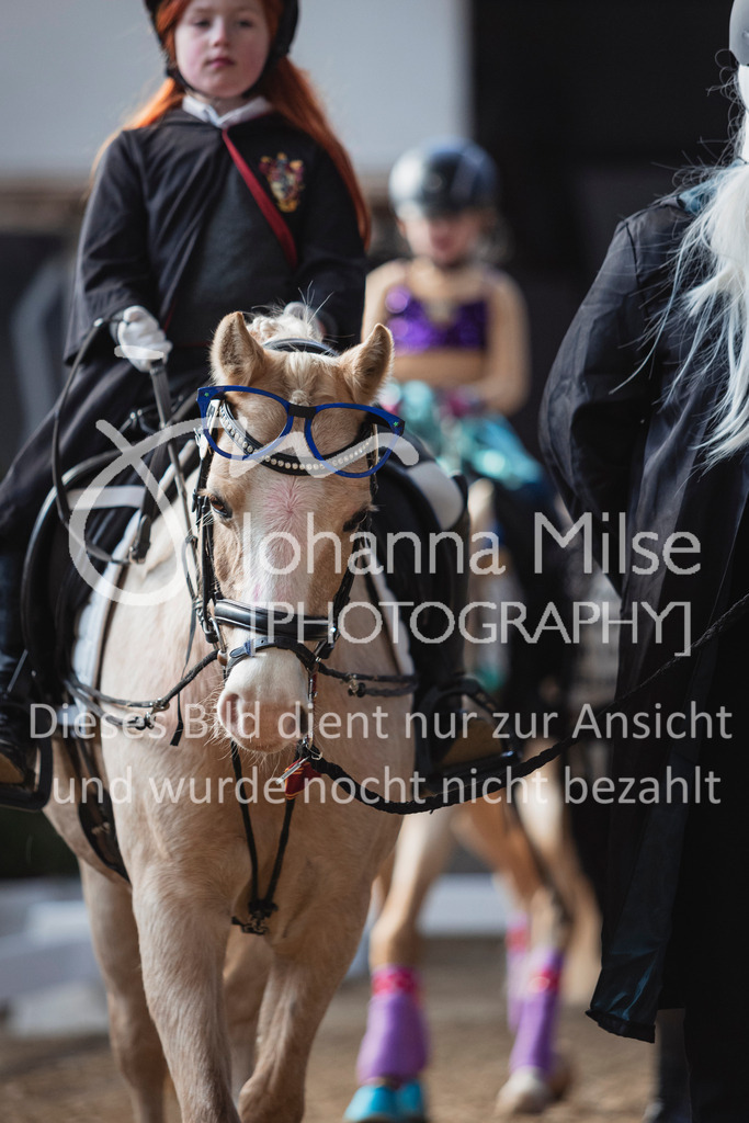250316_HF-Schwm_Fuehrzuegel-142 | Deine schönsten Turniermomente als professionelle Fotos! Entdecke hochwertige Pferdesport-Fotografie im Online-Shop. Jetzt Fotos finden & bestellen!