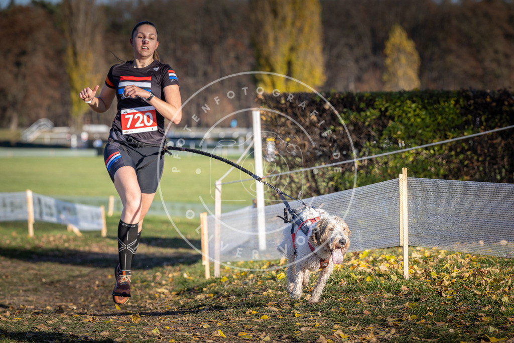 CaniXpix_DV3A1853 | Hundefotografie, Tierfotograf, Pfotenfotografie, Fotoshooting Hund, Hunde Portrait, Hundesport, Hundeportraits, Heideshooting, Hunde, Sportfotograf, Hundefotograf, Turnierhundsport, THS,  - Realisiert mit Pictrs.com