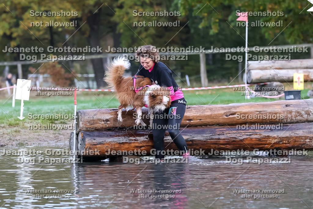 Dog Paparazzi - Strongdog 10-25-6392 | Dog Paparazzi Jeanette Grottendiek Fotografie & Videografie - Realisiert mit Pictrs.com