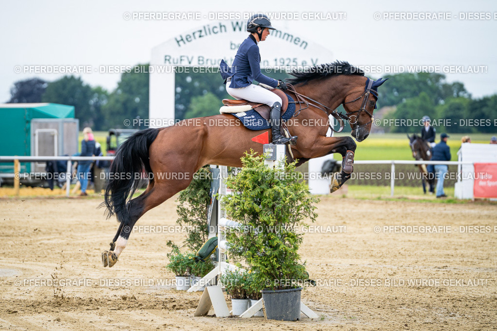 DSC04899 | Pferdegrafie