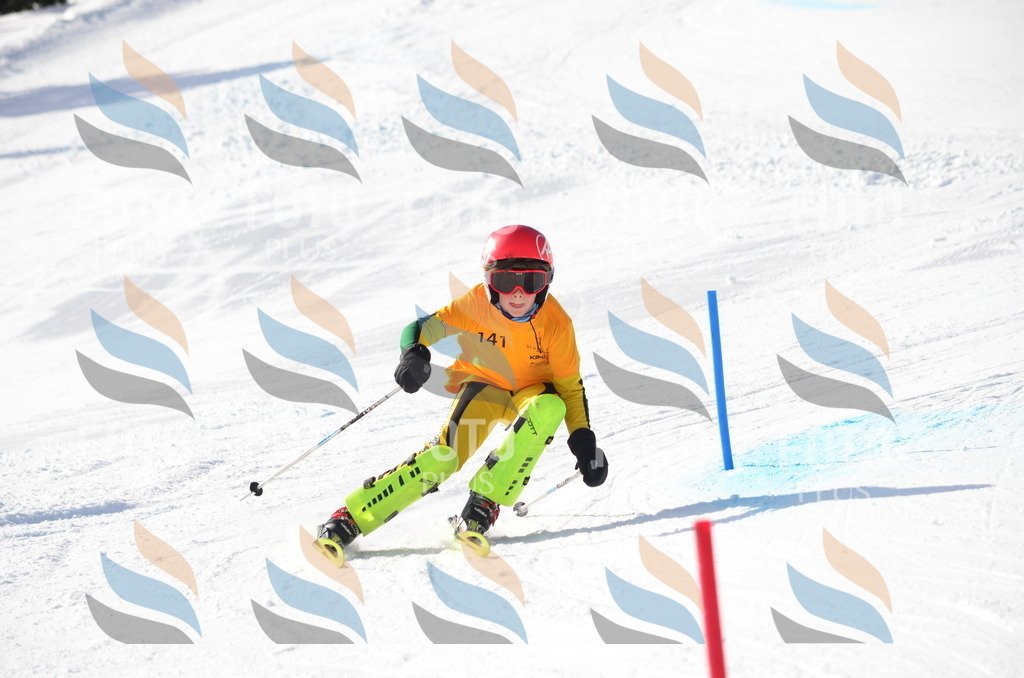 C6538 | holidayphoto