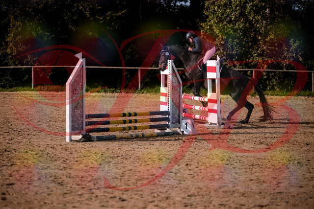2026_10_03_Siefer-Hof_160134_Z81_82442310 | Professionelle Reitsport-, Turnier- und Eventfotografie von Robert Broda. Galerien mit ausgewählten und bearbeiteten Bildern direkt online ansehen und bestellen.