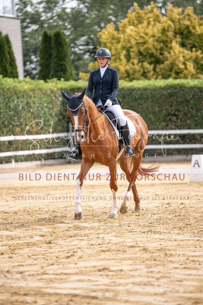 Schugtsche-Aluta25-40.DressurprfA_-219 | Schugtsche Fotografie - Realisiert mit Pictrs.com