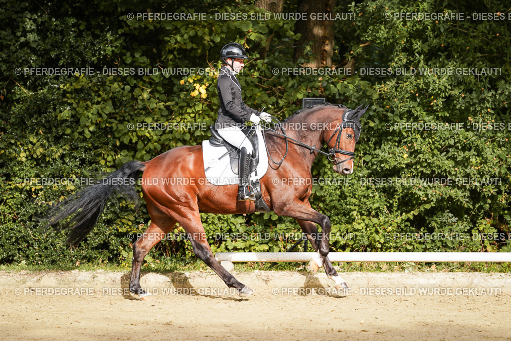 DSC09262 | Pferdegrafie