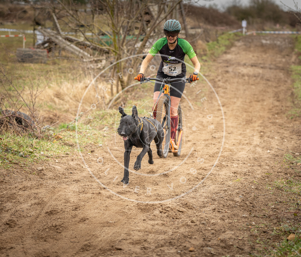 DV3A1428 | Hundefotografie, Tierfotograf, Pfotenfotografie, Fotoshooting Hund, Hunde Portrait, Hundesport, Hundeportraits, Heideshooting, Hunde, Sportfotograf, Hundefotograf, Turnierhundsport, THS,  - Realisiert mit Pictrs.com