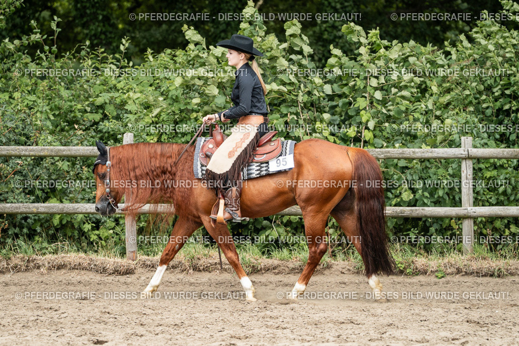 DSC02536 | Pferdegrafie