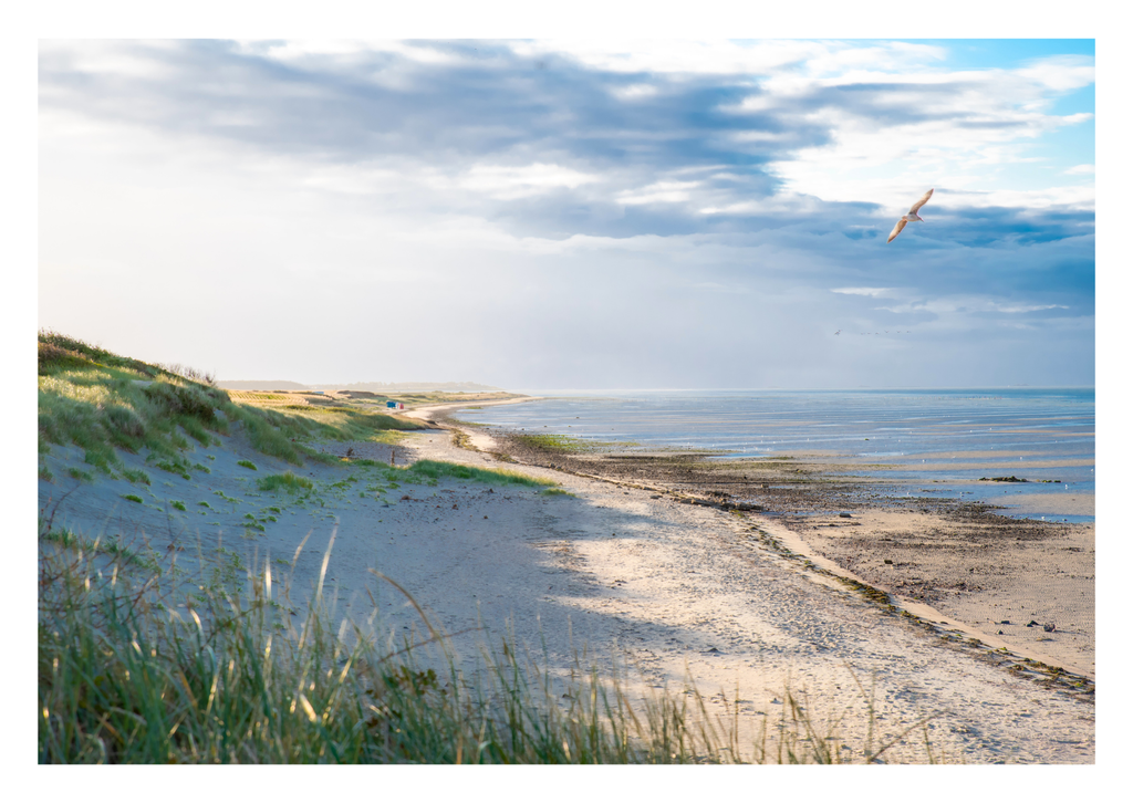 Motiv 32 | Eilun-Art-Fotografie Levke Martens, ihre Fotografin für Immobilien- und Landschaftsfotografie auf Föhr, Föhrer Motive als Poster, Leinwand, hinter Acrylglas oder stelle dir deinen eigenen Monatskalender zusammen, mit nur einem Klick