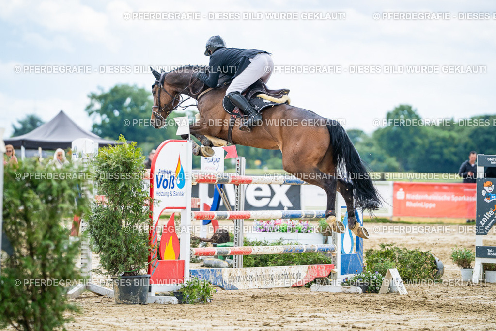 DSC06270 | Pferdegrafie