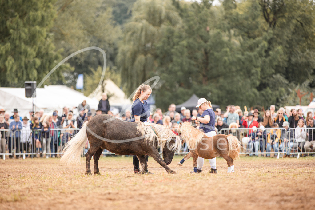 846A3797 | fotosleben - Realisiert mit Pictrs.com