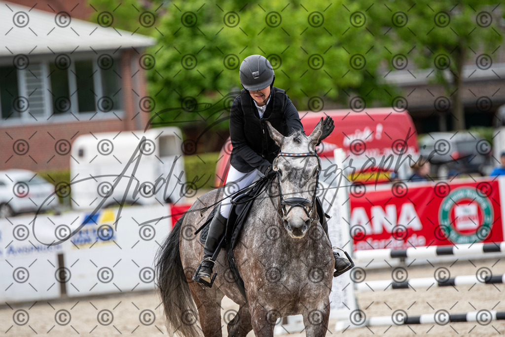 KPT_7288 | andre_photographic