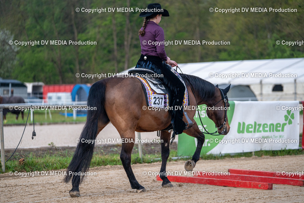 Heiligenwald Tag 1-84 | dv-media-shop - Realisiert mit Pictrs.com