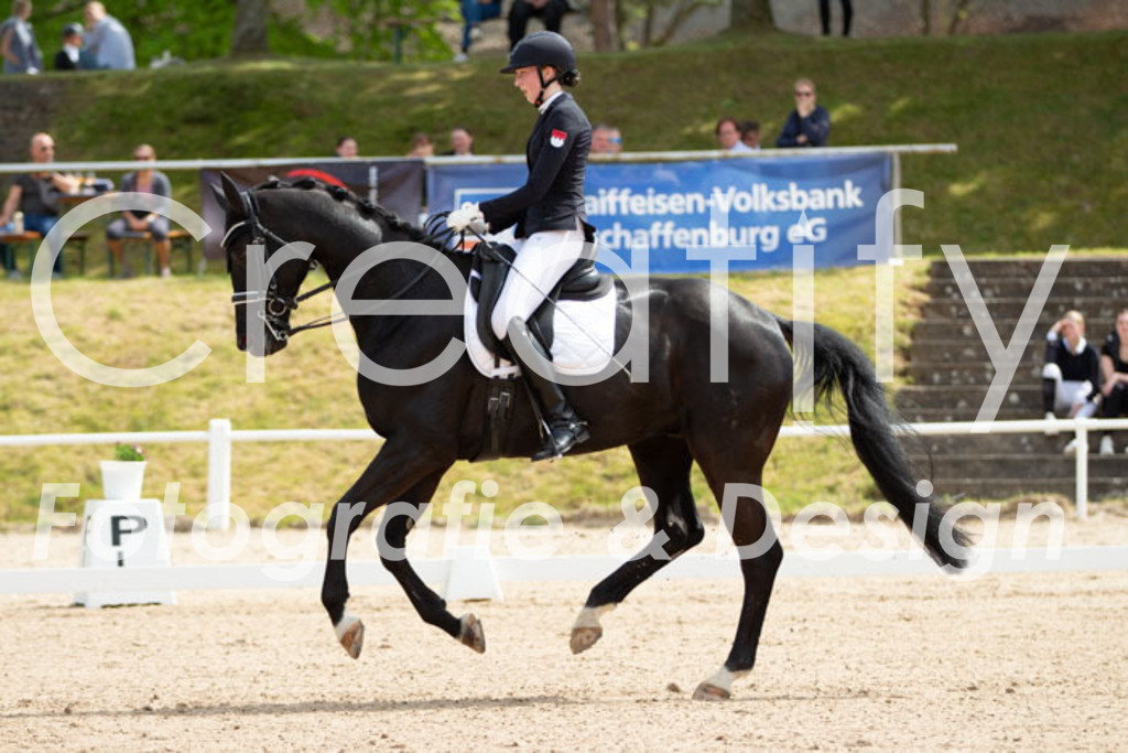 IMG_6590 | Creatify Fotografie