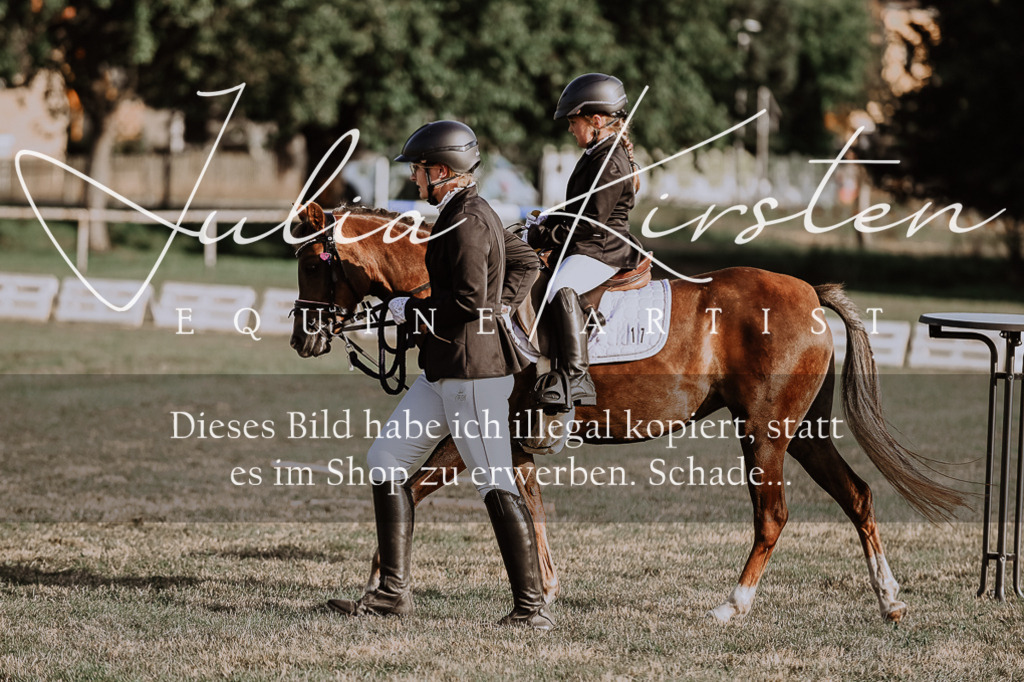 DSC_0109 | Pferde- und Turnierfotografie in Westsachsen. Pferdeportraits, Auftragszeichnungen und intuitive Kunst.