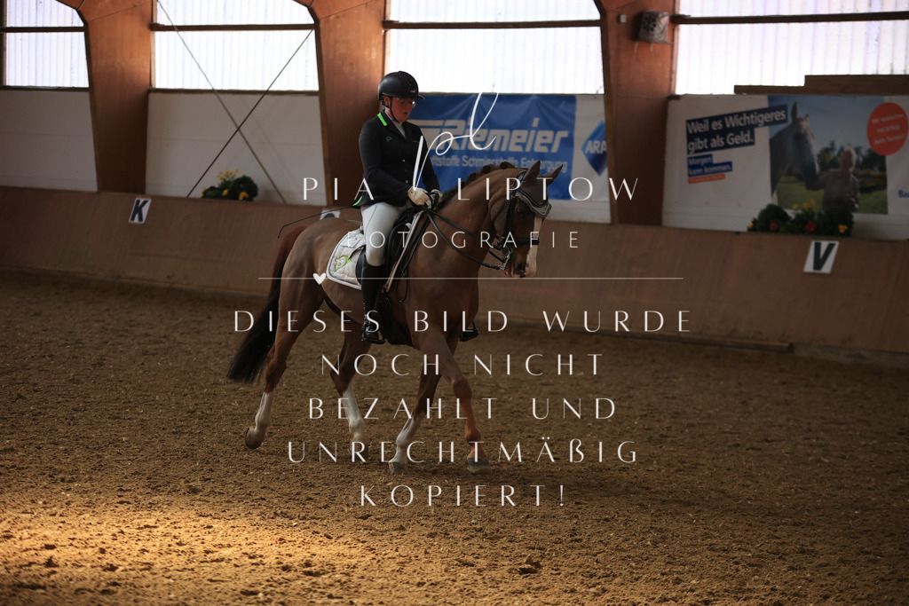 IMGT3475 | pl-fotografie