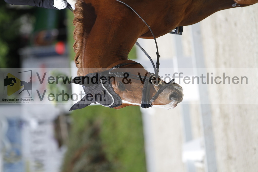 _MG_4659 | equestrian-live-com