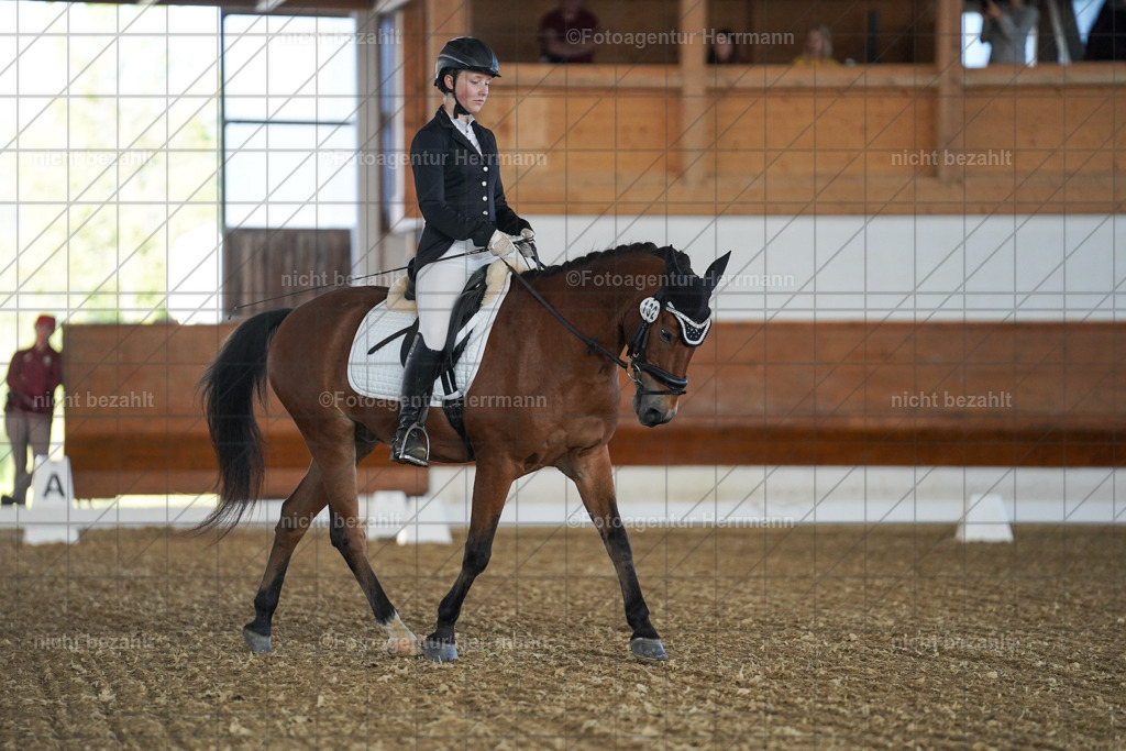 20240824-FAH06932 | Thierhaupten 2024, Bayerisches Landesponyturnier, Turnierbilder, Ponybilder, Turnierfotografen Bayern, Fotoagentur Herrmann