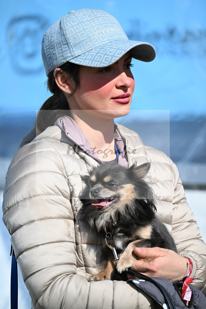 Equistro Dressurderby_26268057 | hf-fotografie - Realisiert mit Pictrs.com